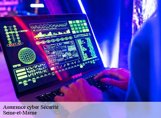 Assurance cyber Sécurité 77 Seine-et-Marne  Lumea Consulting
