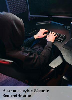 Assurance cyber Sécurité 77 Seine-et-Marne  Lumea Consulting