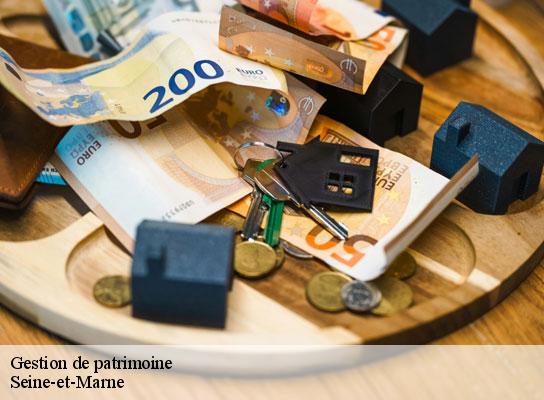 Gestion de patrimoine 77 Seine-et-Marne Lumea Consulting