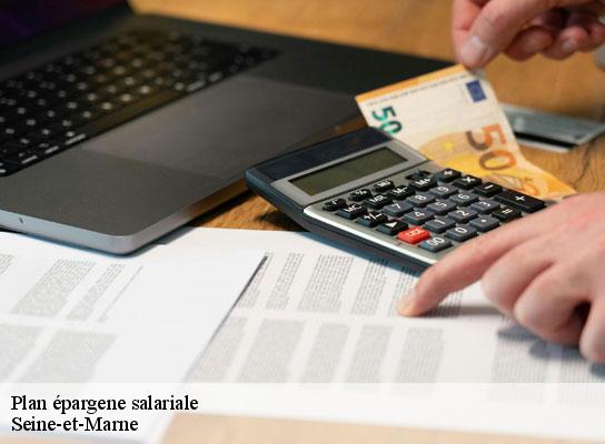 Plan épargene salariale 77 Seine-et-Marne Lumea Consulting
