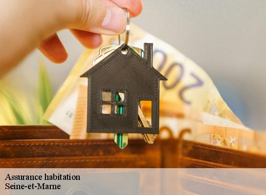 Assurance habitation 77 Seine-et-Marne  Lumea Consulting
