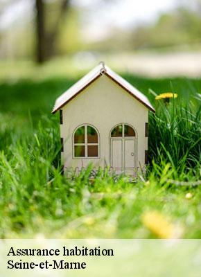 Assurance habitation 77 Seine-et-Marne  Lumea Consulting
