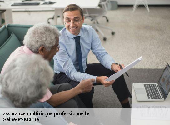 assurance multirisque professionnelle 77 Seine-et-Marne Lumea Consulting