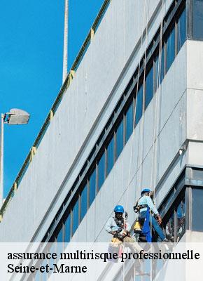 assurance multirisque professionnelle 77 Seine-et-Marne Lumea Consulting