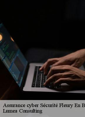 Assurance cyber Sécurité fleury-en-biere-77930 Lumea Consulting