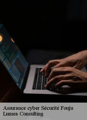 Assurance cyber Sécurité fouju-77390 Lumea Consulting
