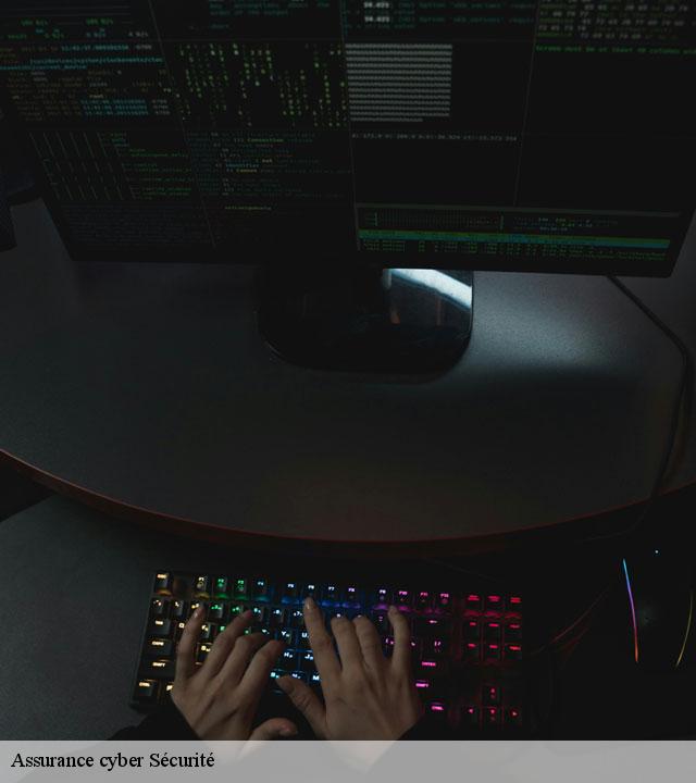 Assurance cyber Sécurité hautefeuille-77515 Lumea Consulting