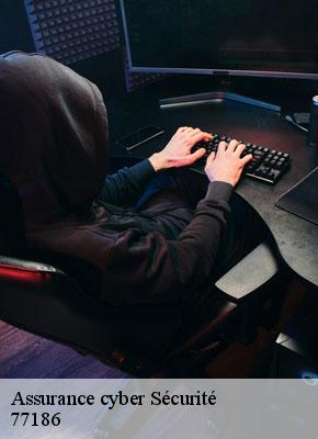 Assurance cyber Sécurité noisiel-77186 Lumea Consulting