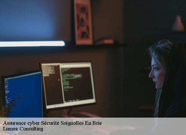 Assurance cyber Sécurité  soignolles-en-brie-77111 Lumea Consulting