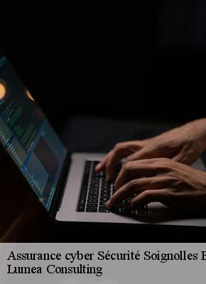 Assurance cyber Sécurité  soignolles-en-brie-77111 Lumea Consulting