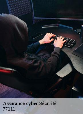 Assurance cyber Sécurité  soignolles-en-brie-77111 Lumea Consulting