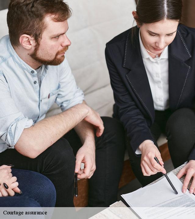 Courtage assurance soisy-bouy-77650 Lumea Consulting