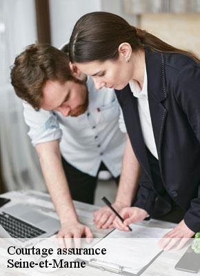 Courtage assurance   Lumea Consulting