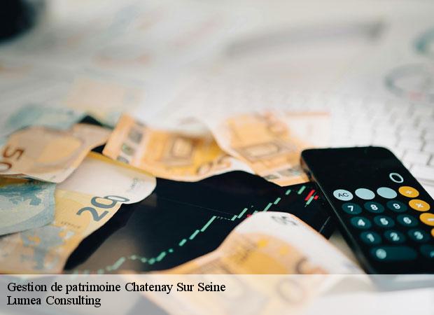 Gestion de patrimoine chatenay-sur-seine-77126 Lumea Consulting
