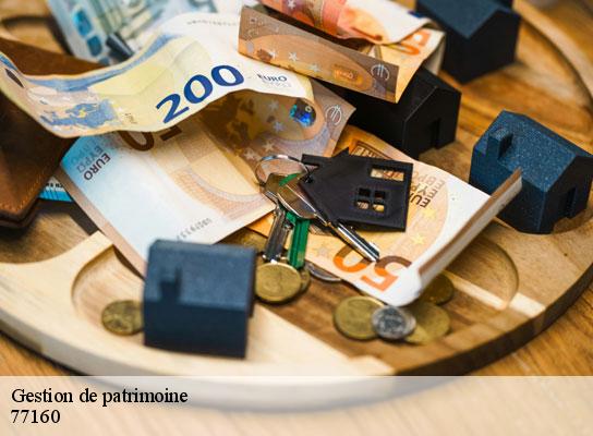 Gestion de patrimoine chenoise-77160 Lumea Consulting
