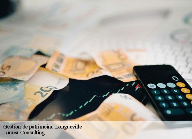 Gestion de patrimoine  longueville-77650 Lumea Consulting