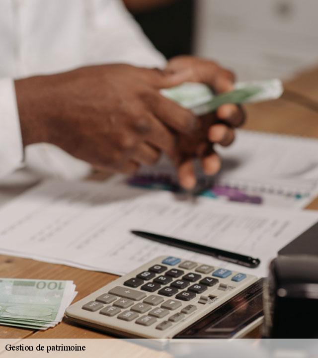 Gestion de patrimoine vimpelles-77520 Lumea Consulting