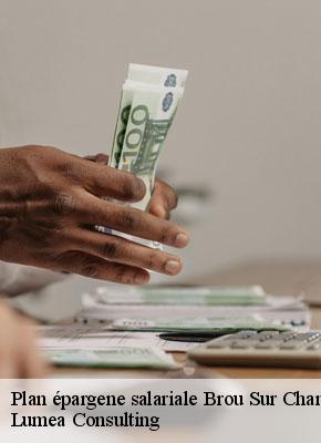 Plan épargene salariale brou-sur-chantereine-77177 Lumea Consulting