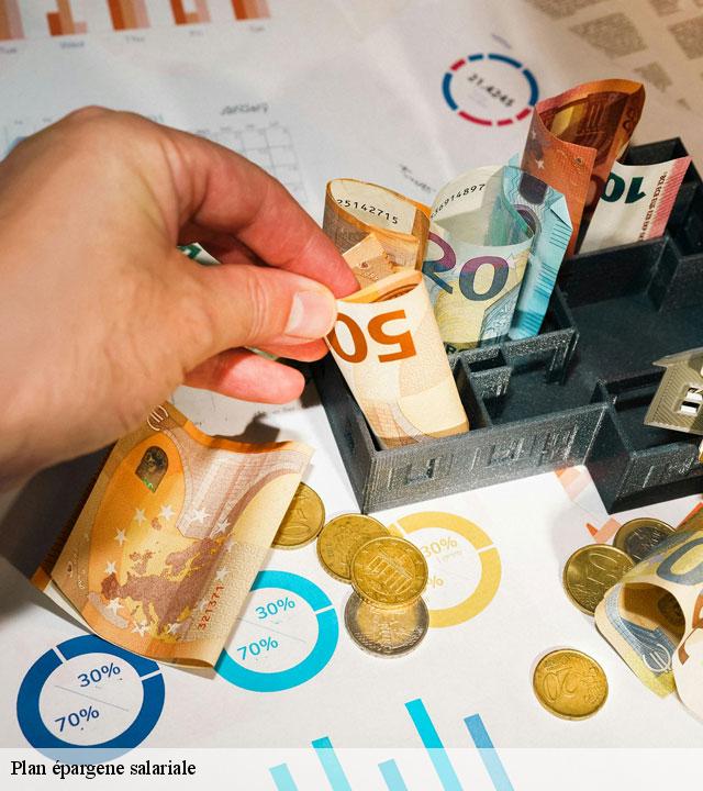 Plan épargene salariale  les-ecrennes-77820 Lumea Consulting