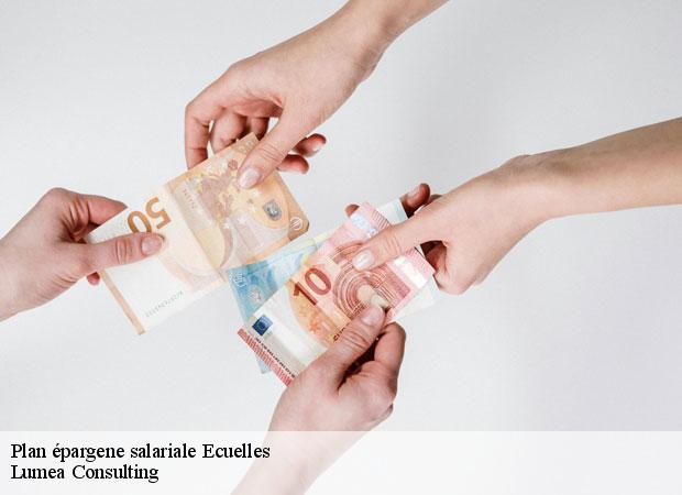 Plan épargene salariale  ecuelles-77250 Lumea Consulting
