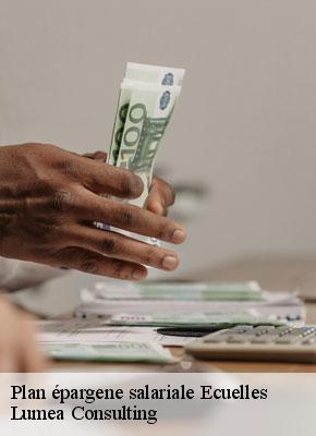 Plan épargene salariale  ecuelles-77250 Lumea Consulting