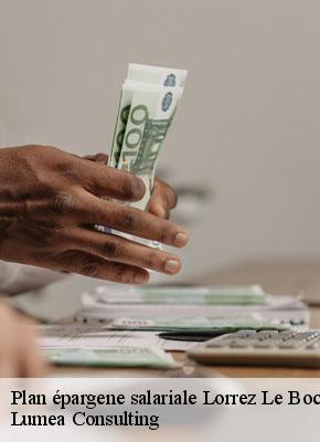 Plan épargene salariale lorrez-le-bocage-preaux-77710 Lumea Consulting