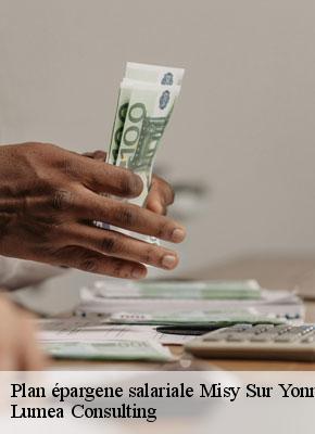 Plan épargene salariale  misy-sur-yonne-77130 Lumea Consulting