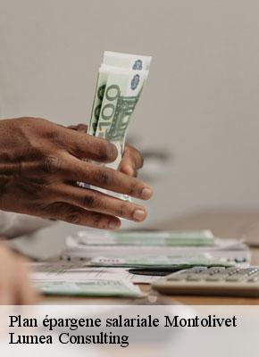 Plan épargene salariale montolivet-77320 Lumea Consulting