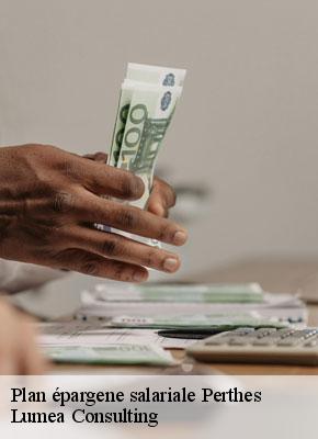 Plan épargene salariale  perthes-77930 Lumea Consulting
