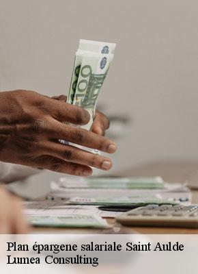 Plan épargene salariale saint-aulde-77260 Lumea Consulting