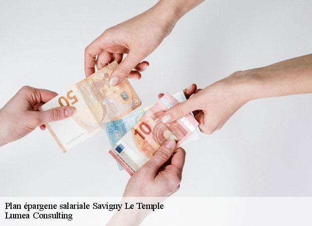 Plan épargene salariale  savigny-le-temple-77176 Lumea Consulting