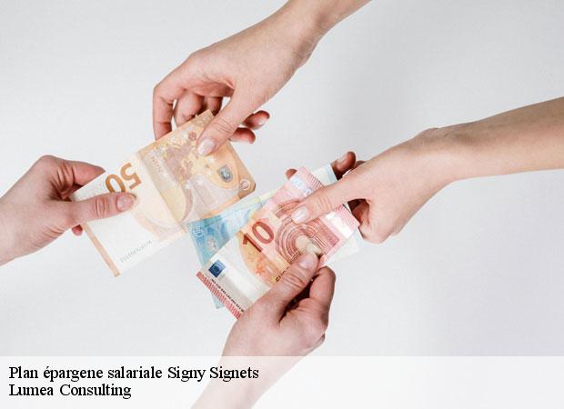 Plan épargene salariale signy-signets-77640 Lumea Consulting
