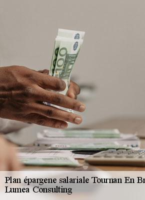 Plan épargene salariale tournan-en-brie-77220 Lumea Consulting