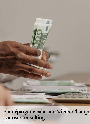 Plan épargene salariale  vieux-champagne-77370 Lumea Consulting