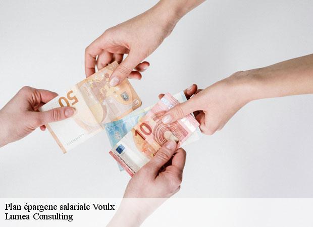 Plan épargene salariale  voulx-77940 Lumea Consulting