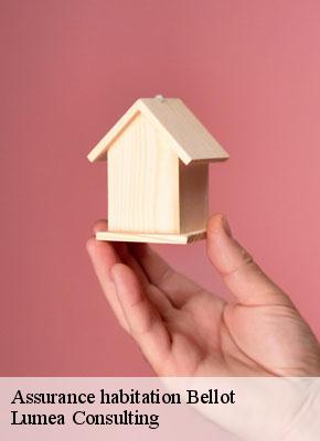 Assurance habitation  bellot-77510 Lumea Consulting