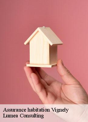Assurance habitation vignely-77450 Lumea Consulting