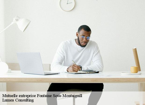 Mutuelle entreprise fontaine-sous-montaiguill-77560 Lumea Consulting