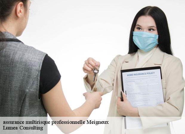assurance multirisque professionnelle meigneux-77520 Lumea Consulting