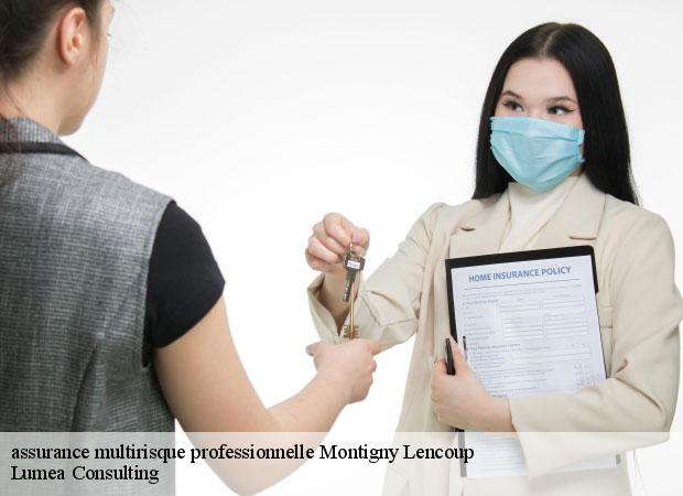 assurance multirisque professionnelle montigny-lencoup-77520 Lumea Consulting