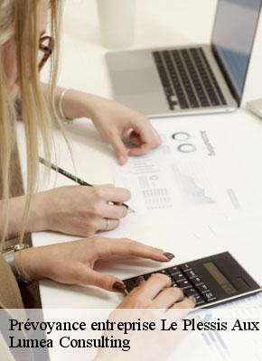 Prévoyance entreprise le-plessis-aux-bois-77165 Lumea Consulting