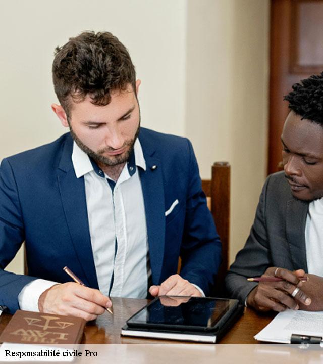 Responsabilité civile Pro bailly-carrois-77720 Lumea Consulting