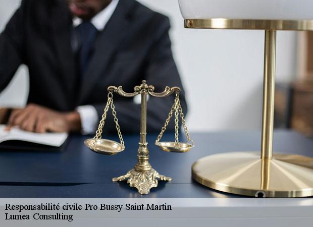 Responsabilité civile Pro  bussy-saint-martin-77600 Lumea Consulting