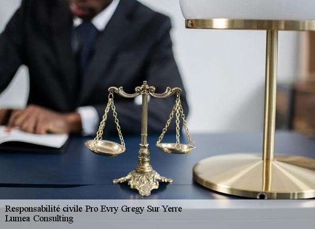 Responsabilité civile Pro evry-gregy-sur-yerre-77166 Lumea Consulting