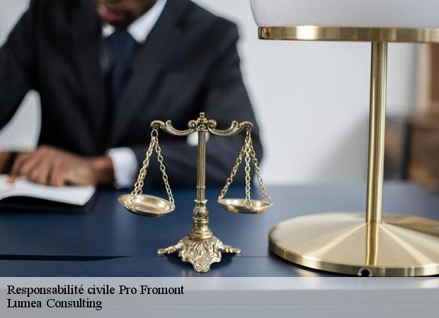 Responsabilité civile Pro fromont-77760 Lumea Consulting
