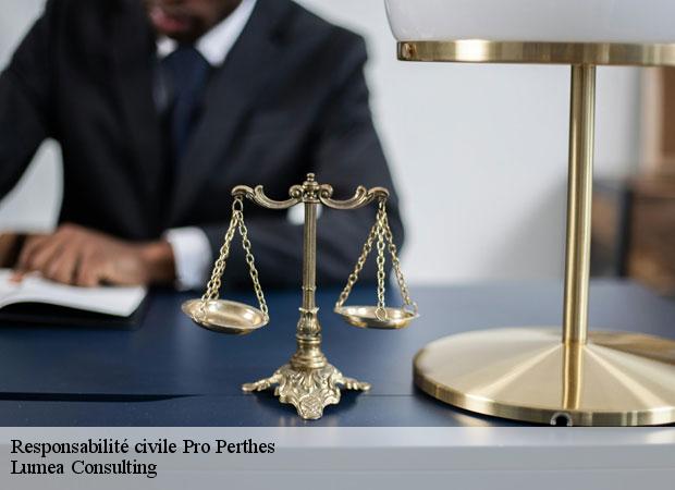 Responsabilité civile Pro perthes-77930 Lumea Consulting