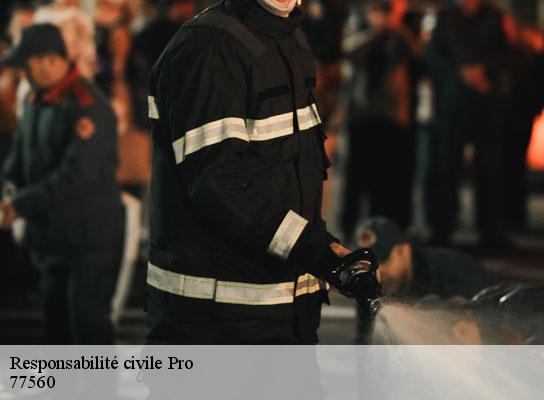Responsabilité civile Pro voulton-77560 Lumea Consulting